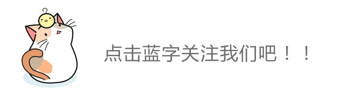 Leggere原文 小猫 动图