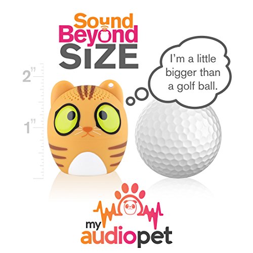 Pet Mini Bluetooth Speaker - AmzChart