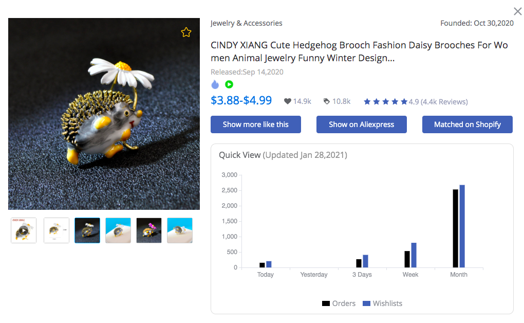 Hedgehog Brooch - FindNiche