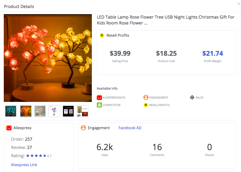 Rose Flower Lamp - FindNiche