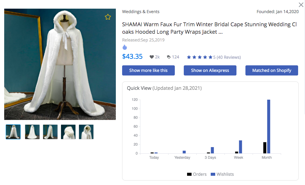 Winter Bridal Cape - FindNiche