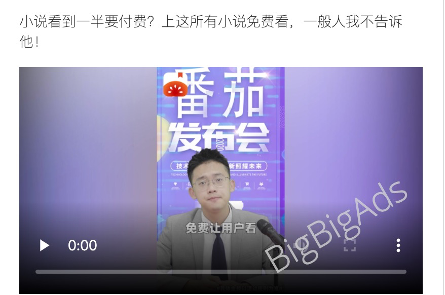 小说阅读类广告10大玩法套路盘点 - BigBigAds